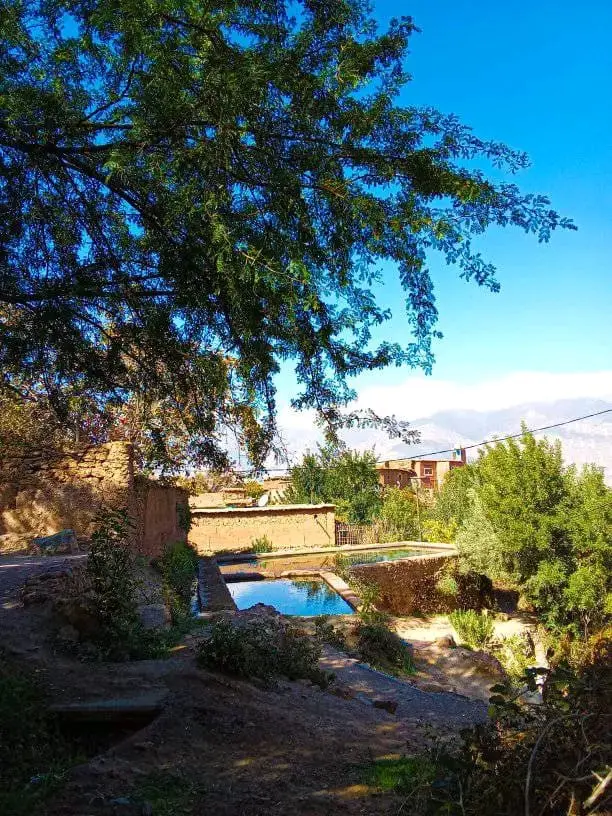 Whats App Image 2025 12 30 at 17.15.15