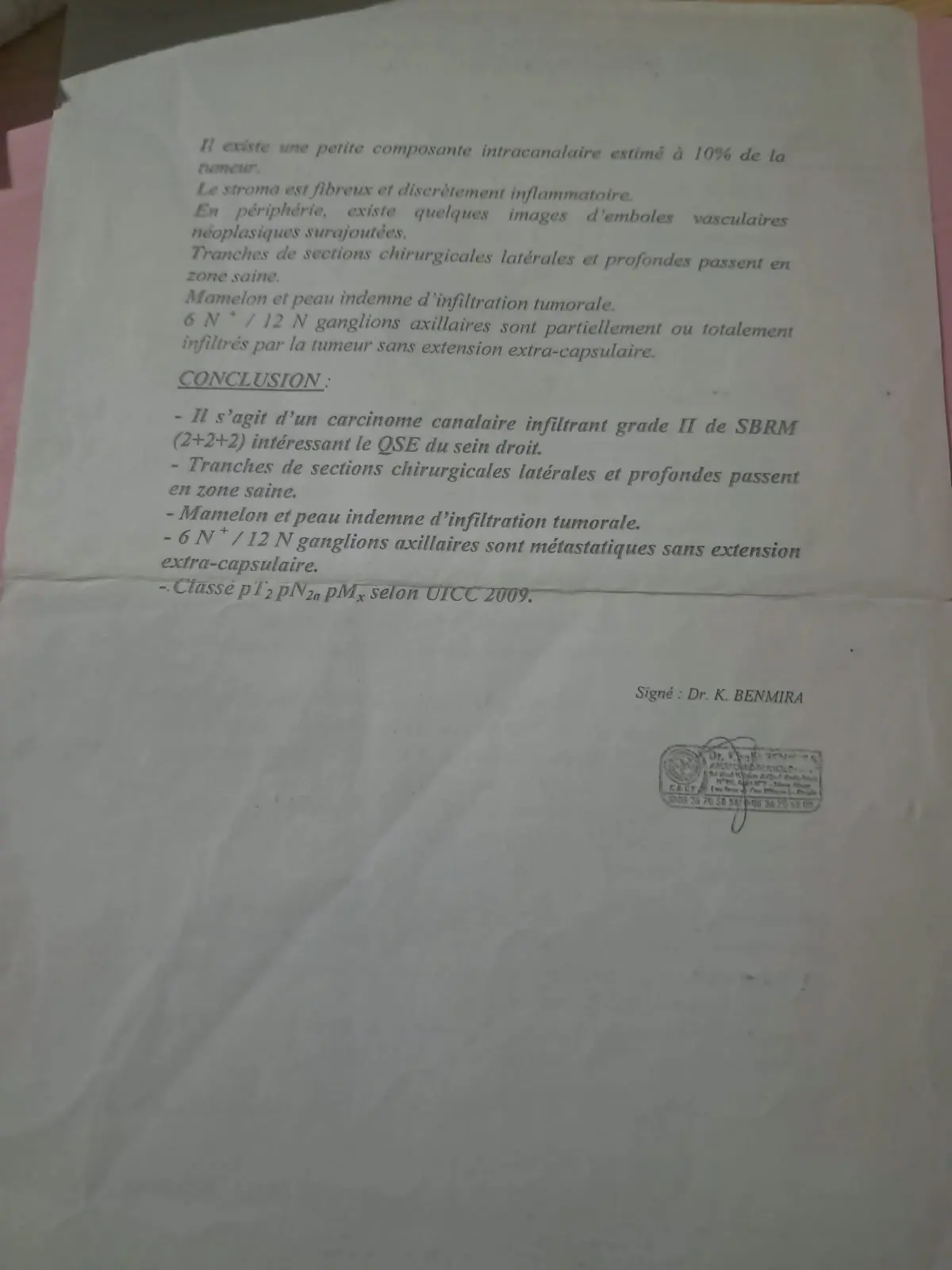 Whats App Image 2026 10 04 at 17.35.13 (3)