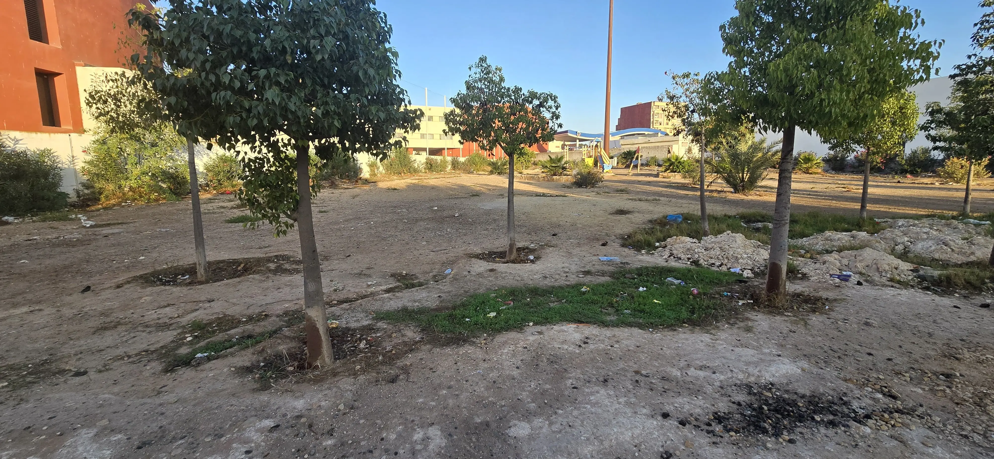 Whats App Image 2026 01 21 at 4.21.10 Pm